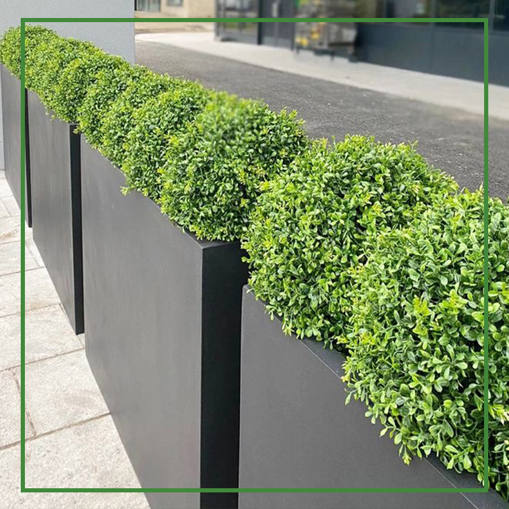 پروژه های فلاورباکس