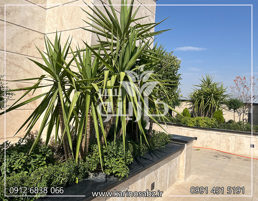 اجرای روف گاردن در کرج