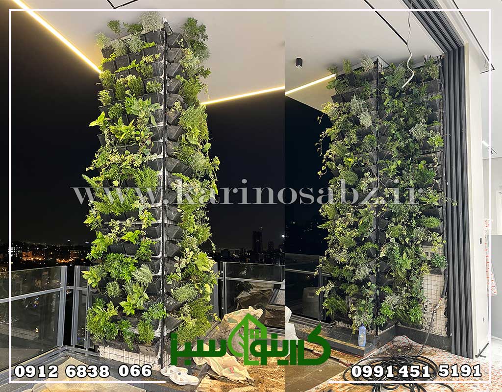 پروژه دیوار سبز طبیعی