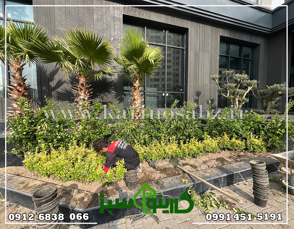 طراحی پروژه فضای سبز