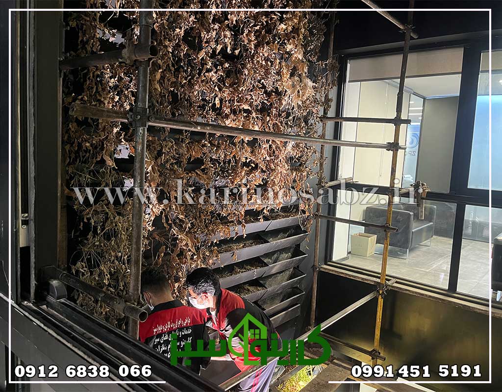 طراحی پروژه دیوار سبز