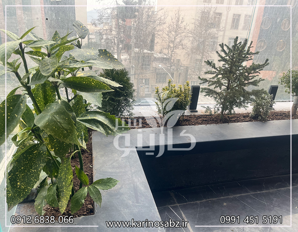 اجرای تراس سبز در کرج