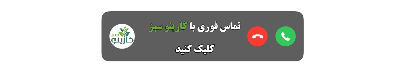 کارینو سبز