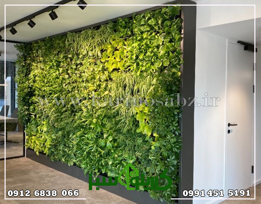 هزینه اجرای دیوار سبز هیدروپونیک