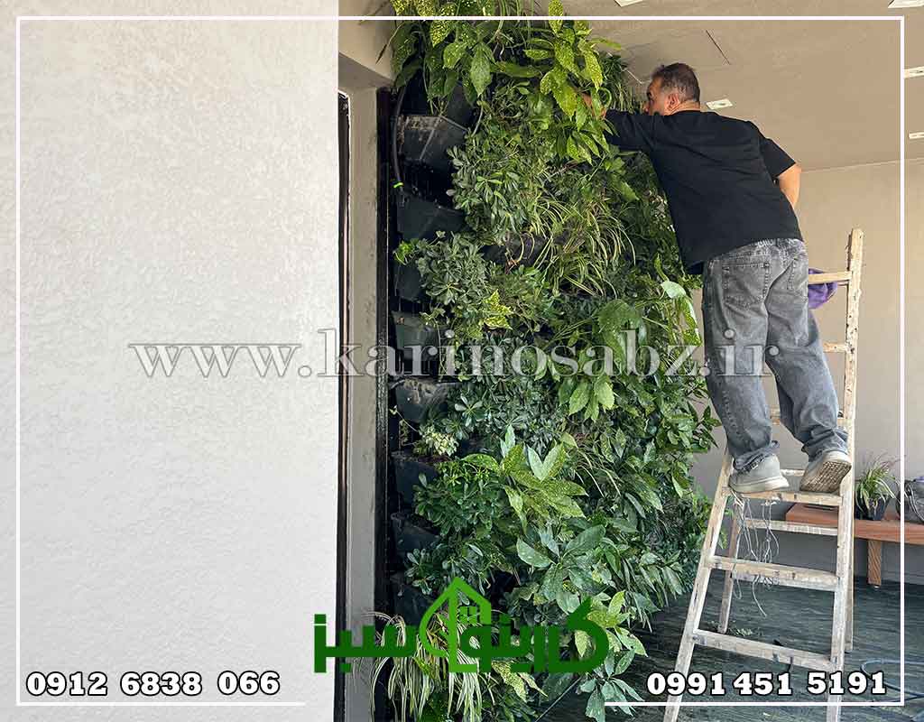 طراحی و اجرای دیوار سبز طبیعی جنگلی