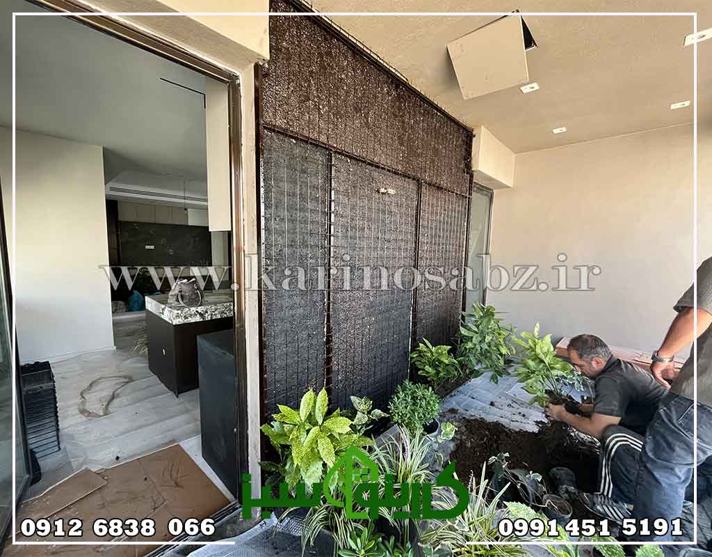 اجرای دیوار سبز طبیعی