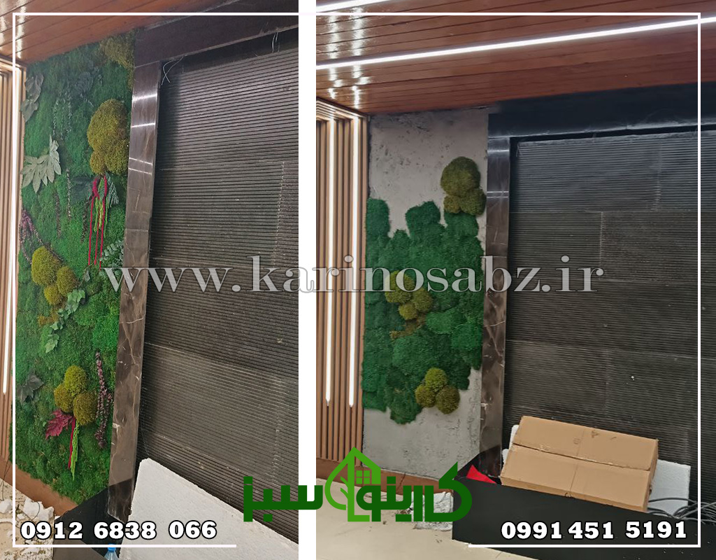 اجرای پروژه دیوار سبز خزه ای