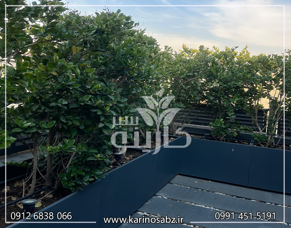 اجرای فلاورباکس فلزی