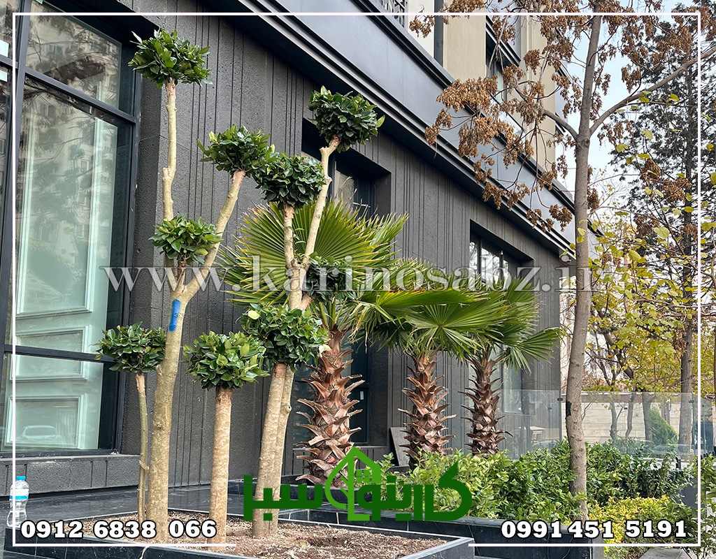 اجرای پروژه فضای سبز