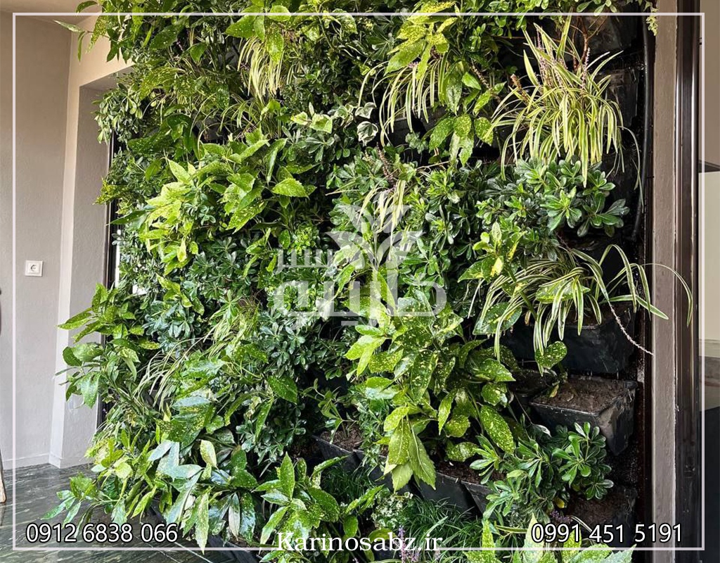 طراحی دیوار سبز