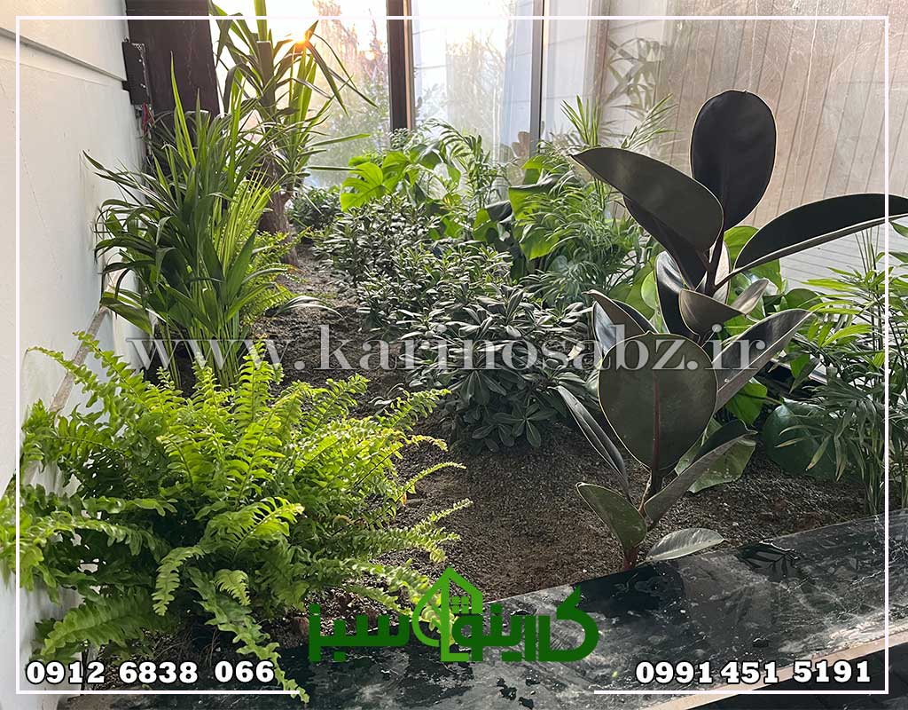 پروژه باغچه ژاپنی