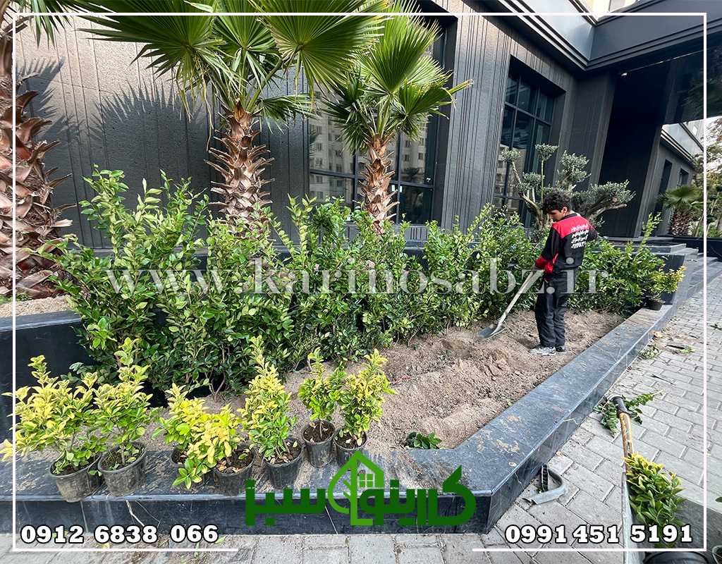 زیرسازی پروژه فضای سبز