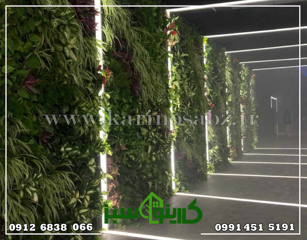نگهداری دیوار سبز هیدروپونیک 