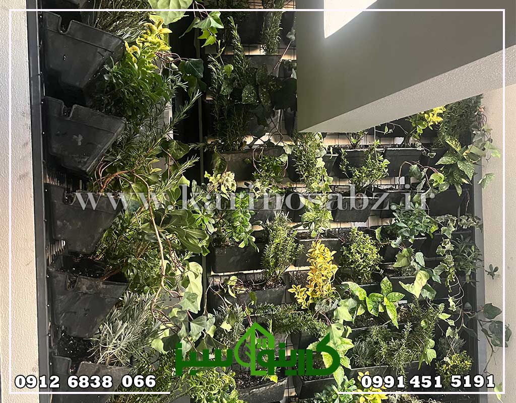 اجرای پروژه دیوار سبز طبیعی