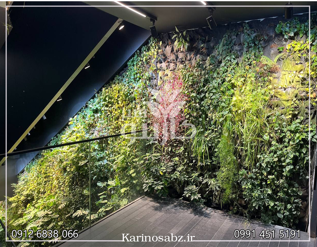 دیوار سبز طبیعی