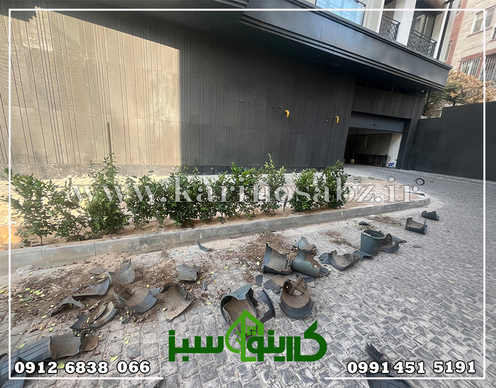 کاشت گیاهان پروژه فضای سبز