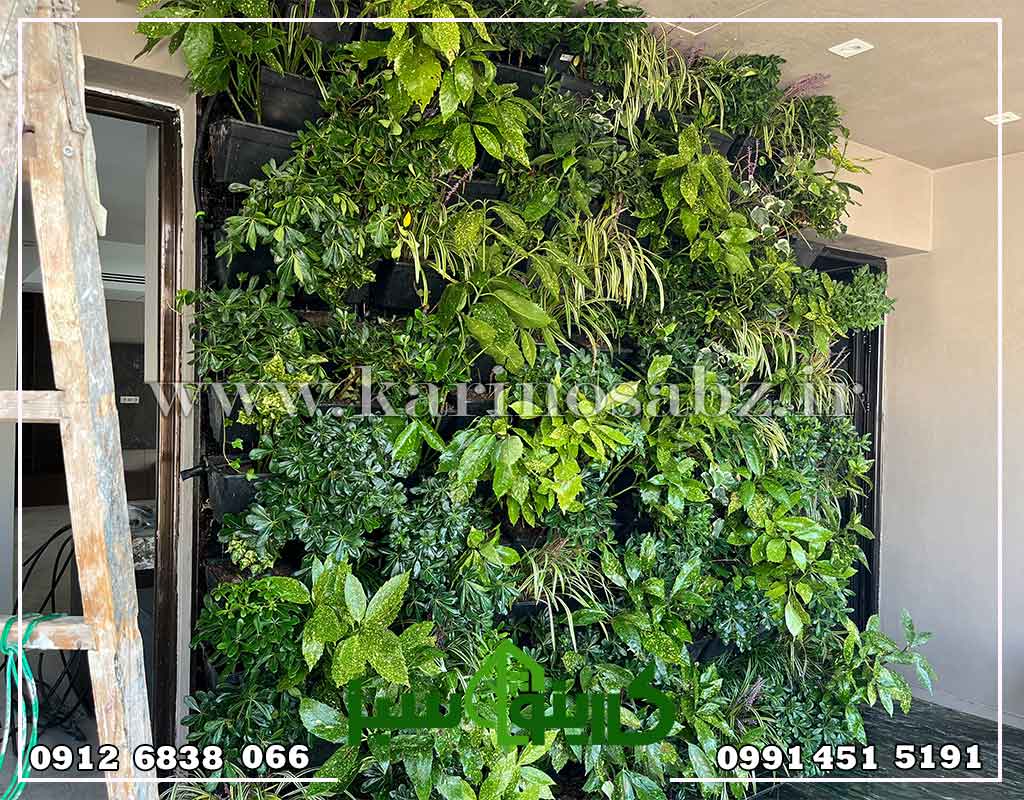 اجرای دیوار سبز طبیعی جنگلی