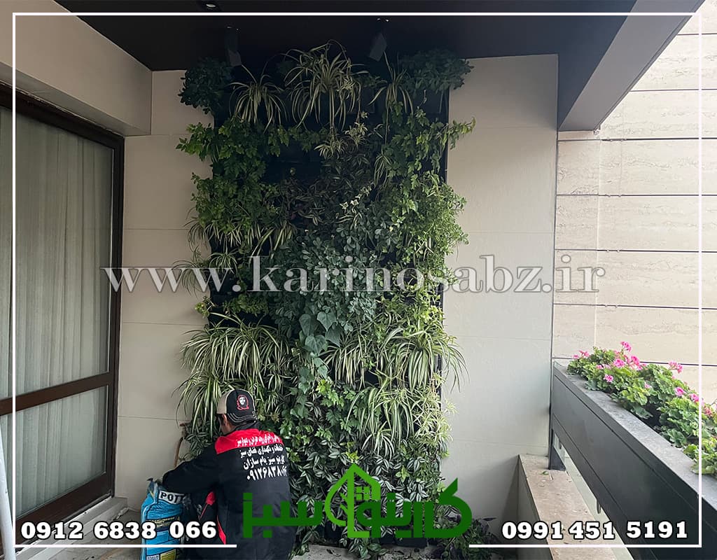 دیوار سبز طبیعی خارجی