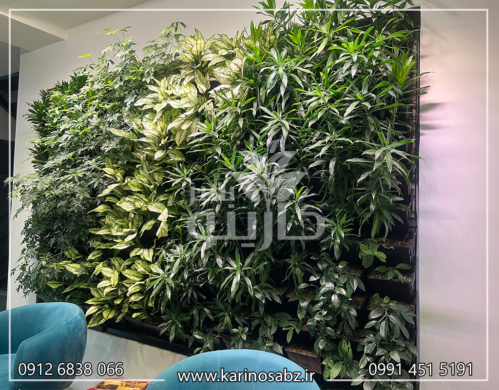 دیوار سبز طبیعی ، دیوار سبز داخلی ، ایده دیوار سبز ، انواع دیوار سبز