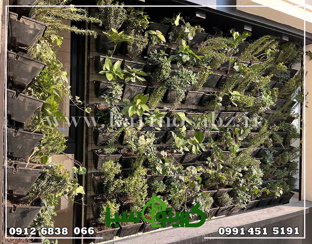 اجرای دیوار سبز طبیعی