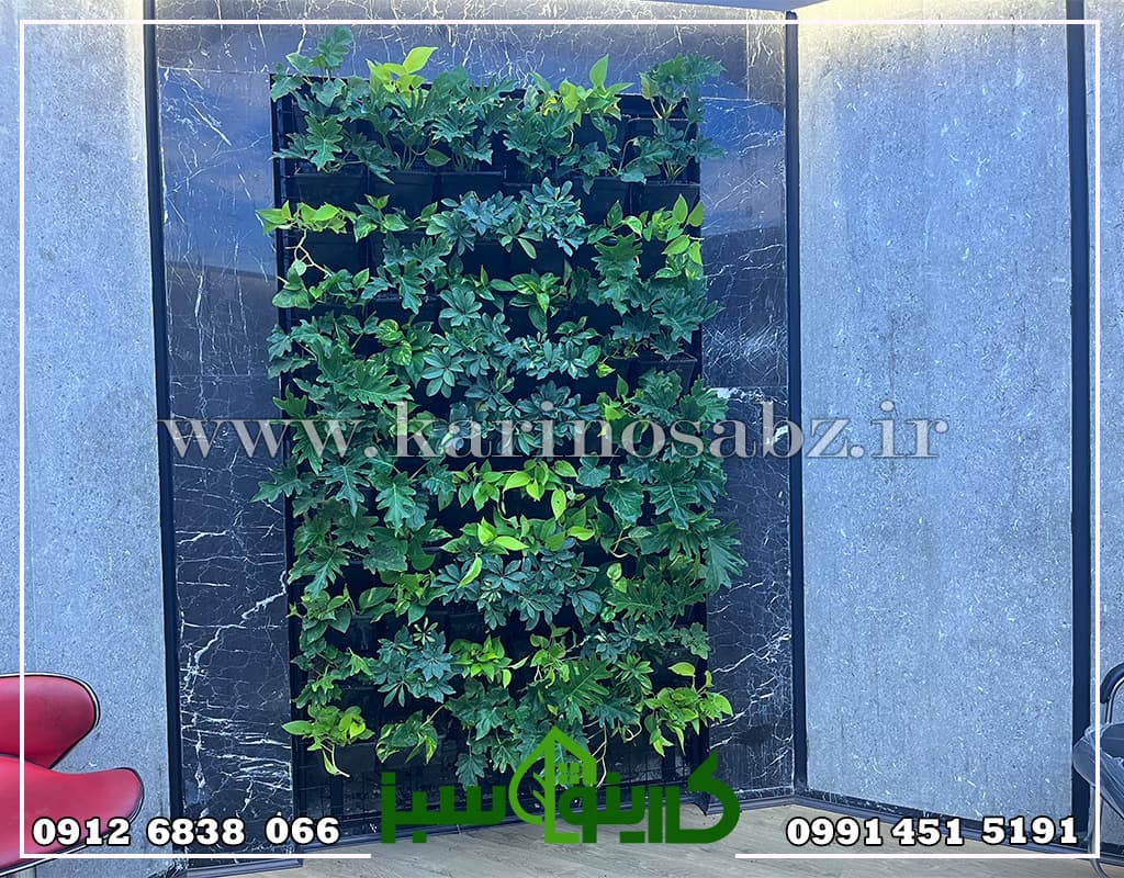دیوار سبز طبیعی داخلی