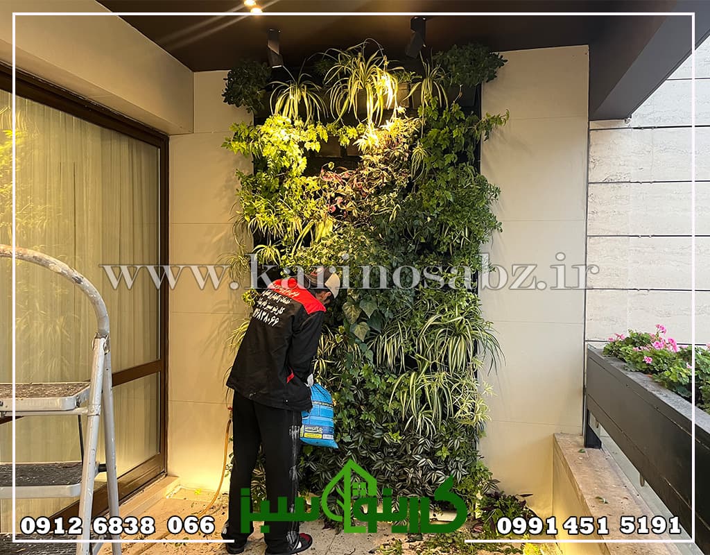 پروژه دیوار سبز طبیعی خارجی