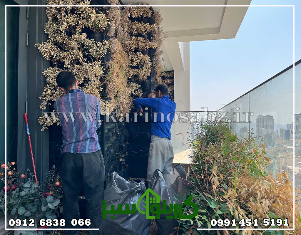 بازسازی دیوار سبز
