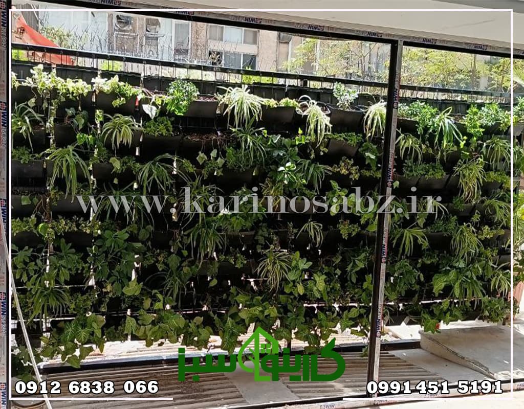 دیوار سبز طبیعی دو طرفه بیرونی