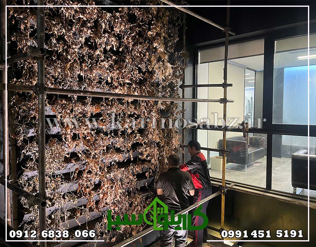 اجرای پروژه دیوار سبز