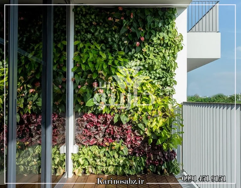گیاهان مناسب دیوار سبز داخلی