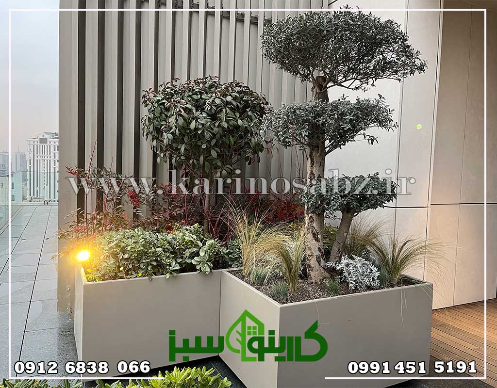 اجرای تراس سبز / خیابان فرشته