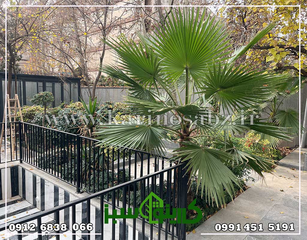 فضای سبز برج آراما / نیاوران