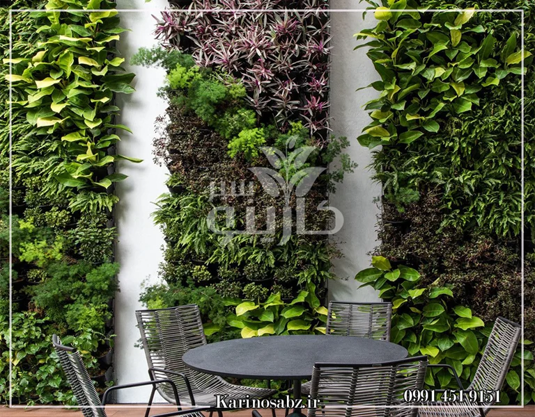 گیاهان مناسب دیوار سبز بیرونی